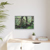 Framed Matte Canvas Wall Art — Tropical Rainforest Roots Photography - The dance of trees - a tree jumble where they hold each other - Nikon