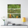 Deep Forest Explorations - Awesome Plants and Heliconias  - El Yunque RainForest  - Nikon D850 - Tropical Mountains Triptych Acrylic Print – Panoramic Jungle & Ocean Wall Art