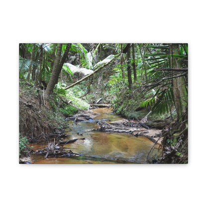 Deep Forest Explorations - El Yunque Holy Spirit River - Nikon D850 - Tropical Creek Canvas Print —  Jungle Stream Wall Art for Nature Lovers