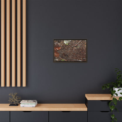 Framed Matte Canvas Wall Art — Tropical Rainforest Decomposing Sierra Palm Seeds Branch - Photography - Tradewinds