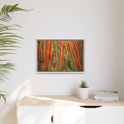 Framed Matte Canvas Wall Art — Tropical Rainforest Roots Photography -Orange roots of the Sierra Palm tree - Nikon