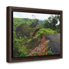 Rainforest Trails & Views - Gallery Canvas Wraps, Horizontal Frame - El Yunque National Forest - Puerto Rico - Closed PR191 road & landlside - Green Forest Home