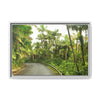 Tropical Vista Matte Canvas Framed Wall Art — Lush Mountain road the PR 191 High forest - El Yunque rainforest PR