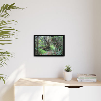 Tropical Vista Matte Canvas Framed Wall Art — Magic section of the remote Tradewinds Trail -  El Yunque rainforest PR