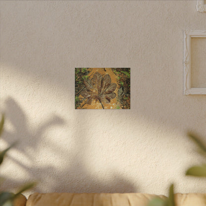 Leaf Wall Art Canvas — Botanical Nature Photography Print - Yagrumo leaf in Tradewinds Muddy Trail - El Yunque Rainforest - Puerto Rico - Deep forest explorations