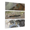 El Yunque Rainforest - Boulders formations in the Deep Forest - Nikon D850 - Triptych Acrylic Print – Forest Creek Landscape Wall Art