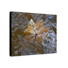 Yagrumo Leaf Floating — Matte Canvas Wall Art - Yagrumo leaf - white side - in a flooded Rio Sabana river - El Yunque Rainforest - Puerto Rico - Deep forest explorations