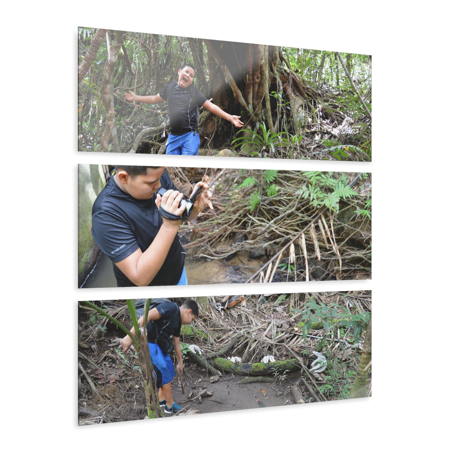 Deep Forest Explorations - Jose Explores - El Yunque Holy Spirit River - Nikon D850 - Nikon D850 - Triptych Acrylic Print – Forest Creek Landscape Wall Art