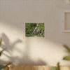 Waterfall Forest Canvas Print — Tranquil Nature Wall Art (Matte Stretched) - Hidden Waterfal - La Coca Trail - El Yunque Rainforest - Puerto Rico
