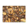 Autumn Leaf Floor Canvas Print — Deep Forest Explorations - El Yunque - Nikon D850 Stretched Wall Art (0.75")
