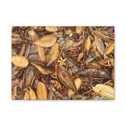 Autumn Leaf Floor Canvas Print — Deep Forest Explorations - El Yunque - Nikon D850 Stretched Wall Art (0.75")