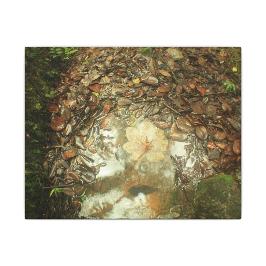 Autumn Leaf Reflection Matte Canvas Wall Art — Nature Forest Stream Print - Yagrumo leaf in middle of many decomposing leafs - Amazing symmetry - Tradewinds trail