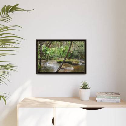 Framed Matte Canvas Wall Art — Tropical Rainforest Roots Photography - View deep in the forest in the Rio Sabana Trail