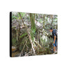 Forest Stream Adventure Matte Canvas Print — Boy Exploring Tree Roots Wall Art - Jose looks at the river - Tree has roots all over - Note the little sunlight