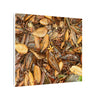 Leaf Floor Canvas Print — Matte Stretched Wall Art - Tradewinds trail - below canopy of local peak - leaf variety & geometry & stars ...
