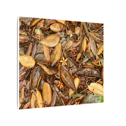 Leaf Floor Canvas Print — Matte Stretched Wall Art - Tradewinds trail - below canopy of local peak - leaf variety & geometry & stars ...