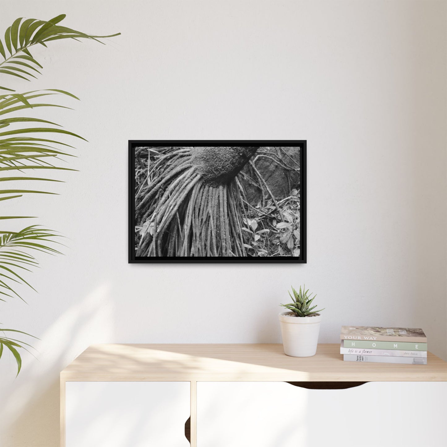 Framed Matte Canvas Wall Art — Tropical Rainforest Roots Photography - B&W roots of the Sierra Palm tree - Nikon