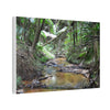 Deep Forest Explorations - El Yunque Holy Spirit River - Nikon D850 - Tropical Creek Canvas Print —  Jungle Stream Wall Art for Nature Lovers