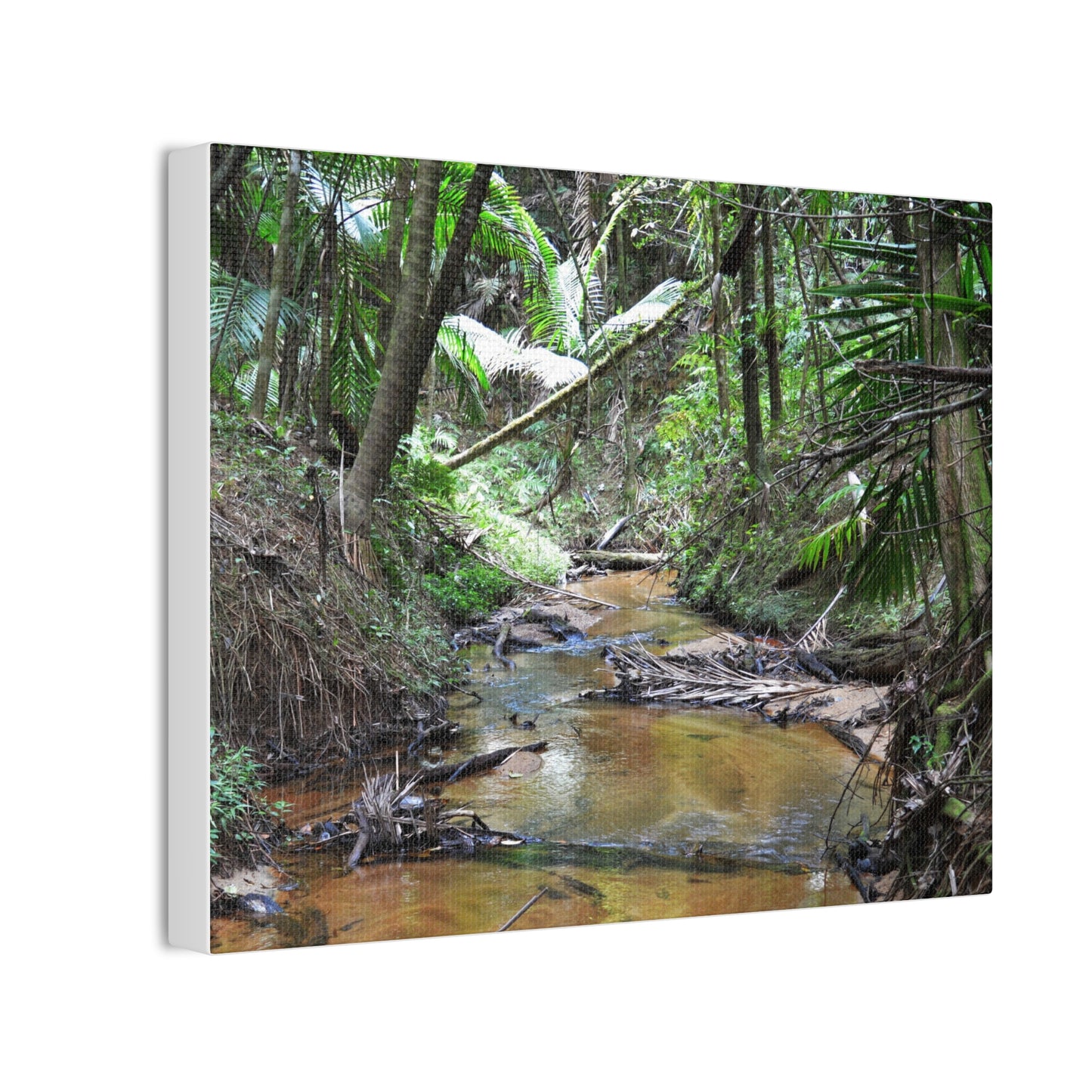 Deep Forest Explorations - El Yunque Holy Spirit River - Nikon D850 - Tropical Creek Canvas Print —  Jungle Stream Wall Art for Nature Lovers