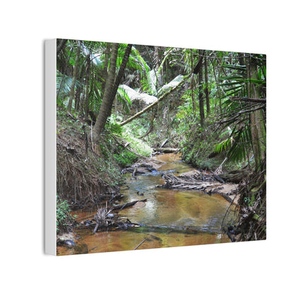 Deep Forest Explorations - El Yunque Holy Spirit River - Nikon D850 - Tropical Creek Canvas Print —  Jungle Stream Wall Art for Nature Lovers