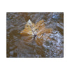 Yagrumo Leaf Floating — Matte Canvas Wall Art - Yagrumo leaf - white side - in a flooded Rio Sabana river - El Yunque Rainforest - Puerto Rico - Deep forest explorations