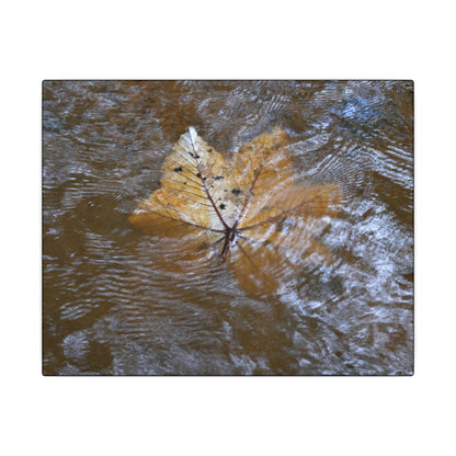 Yagrumo Leaf Floating — Matte Canvas Wall Art - Yagrumo leaf - white side - in a flooded Rio Sabana river - El Yunque Rainforest - Puerto Rico - Deep forest explorations