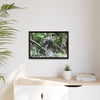 Tropical Vista Matte Canvas Framed Wall Art - Forest explorations - Deep in Sabana River Unusual Tree formations ??? -  El Yunque rainforest PR