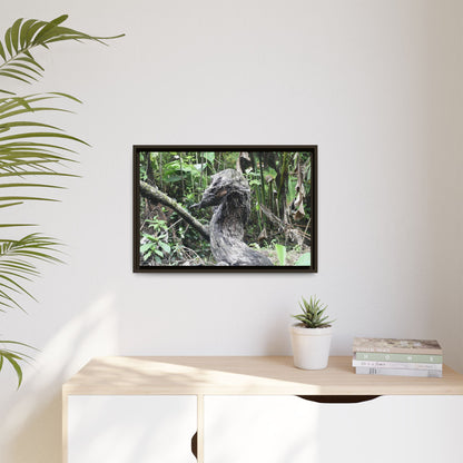 Tropical Vista Matte Canvas Framed Wall Art - Forest explorations - Deep in Sabana River Unusual Tree formations ??? -  El Yunque rainforest PR