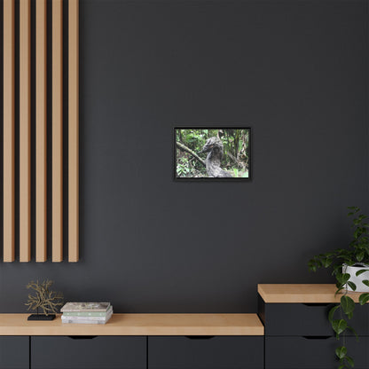 Tropical Vista Matte Canvas Framed Wall Art - Forest explorations - Deep in Sabana River Unusual Tree formations ??? -  El Yunque rainforest PR