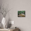 Deep Forest Explorations - El Yunque Holy Spirit River - Nikon D850 - Tropical Creek Canvas Print — Lush Rainforest River Wall Art