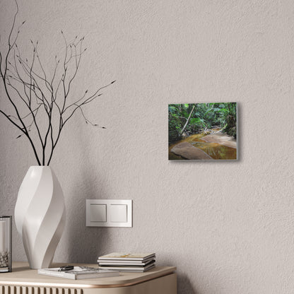 Deep Forest Explorations - El Yunque Holy Spirit River - Nikon D850 - Tropical Creek Canvas Print — Lush Rainforest River Wall Art