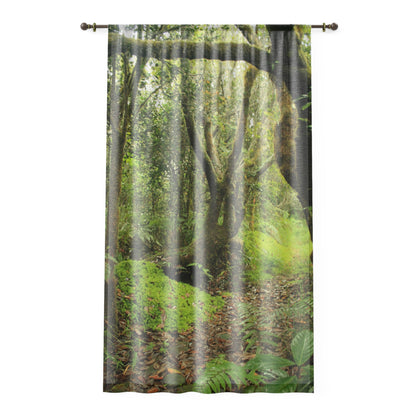 Tropical Jungle - Tradewinds Trail - Magic Section - Window Curtain - Lush Rainforest Print Sheer Drapery - View in El Yunque rainforest - Puerto  Rico - Nikon