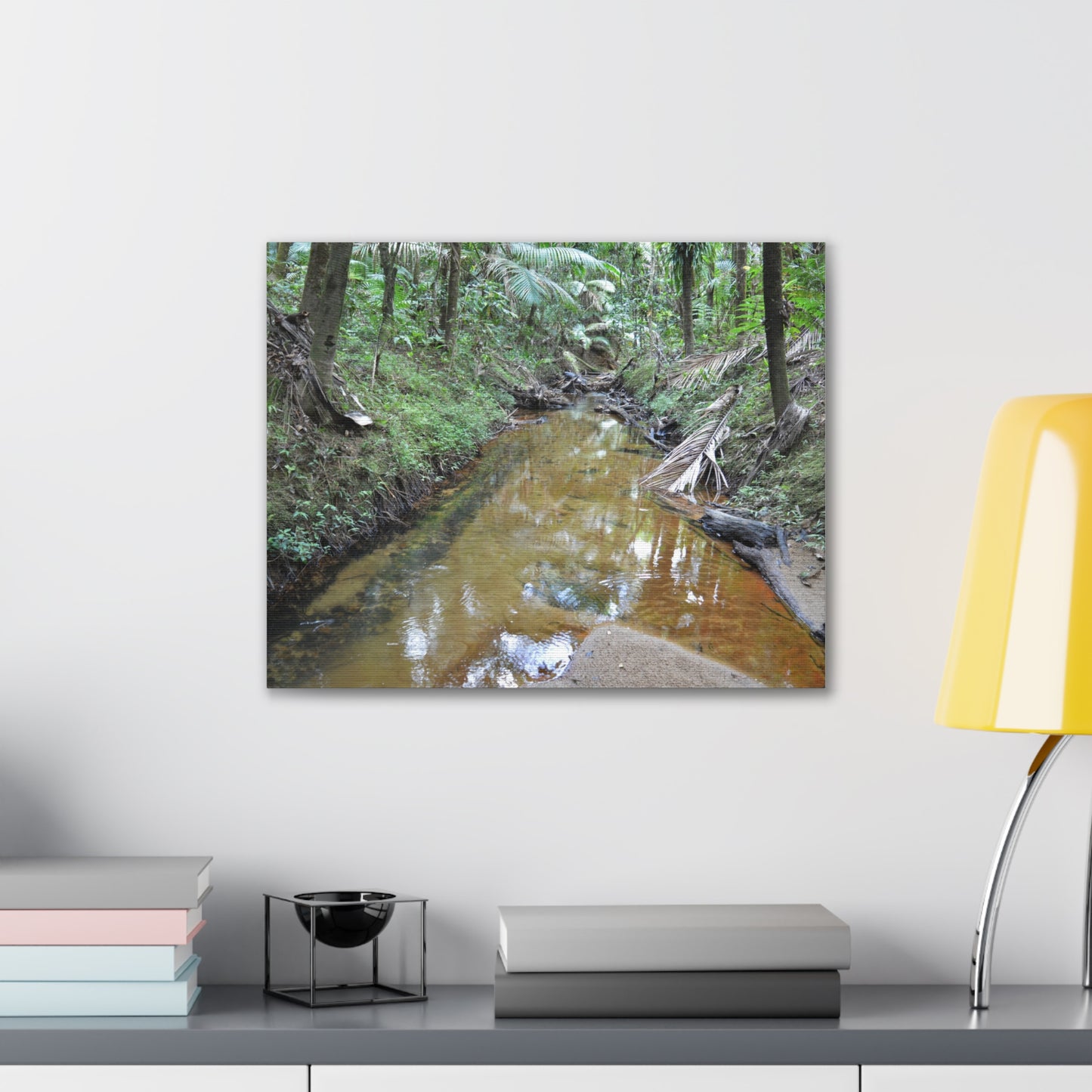 Deep Forest Explorations - El Yunque Holy Spirit River - Nikon D850 - Forest Creek Canvas Print - Stretched 0.75" Nature Wall Art