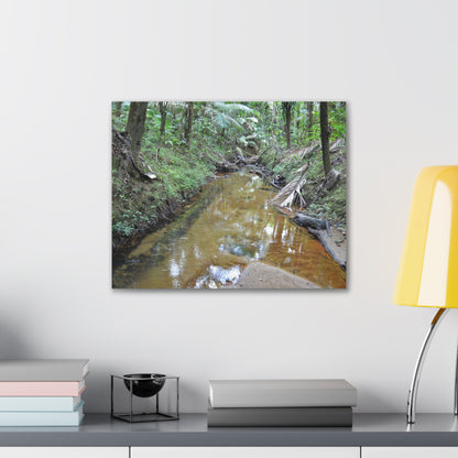 Deep Forest Explorations - El Yunque Holy Spirit River - Nikon D850 - Forest Creek Canvas Print - Stretched 0.75" Nature Wall Art