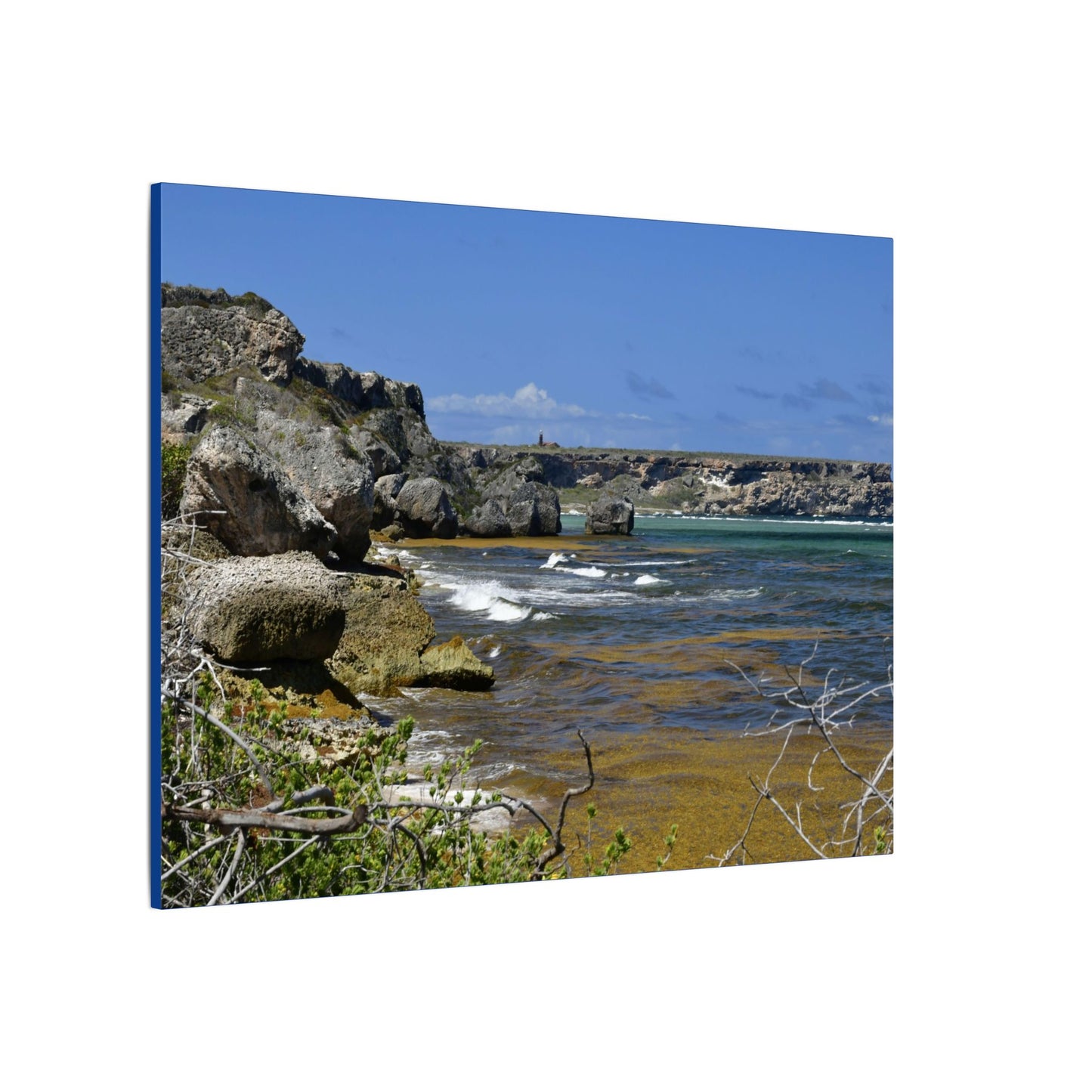 Coastal Cliff Seascape Canvas Print - Mona Island - 40 miles from Puerto Rico - Pristine & isolated