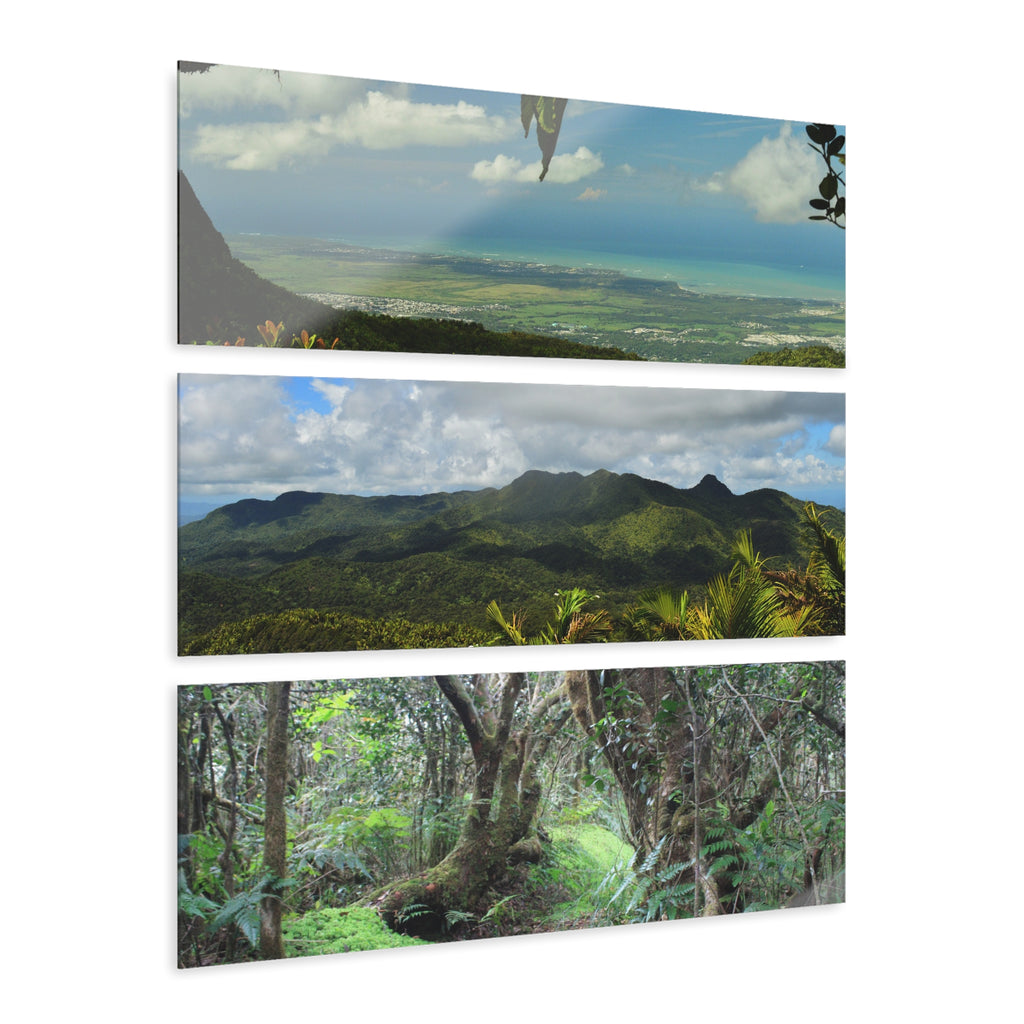 Deep Forest Explorations - Views from Trails and Peaks  - El Yunque RainForest  - Nikon D850 - Tropical Mountains Triptych Acrylic Print – Panoramic Jungle & Ocean Wall Art