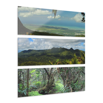 Deep Forest Explorations - Views from Trails and Peaks  - El Yunque RainForest  - Nikon D850 - Tropical Mountains Triptych Acrylic Print – Panoramic Jungle & Ocean Wall Art