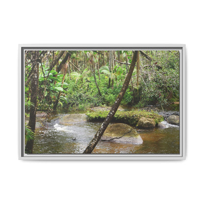 Framed Matte Canvas Wall Art — Tropical Rainforest Roots Photography - View deep in the forest in the Rio Sabana Trail