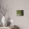 Tropical Road Walk Canvas — Couple with cat and dog in El Yunque - Scenic Nature Wall Art