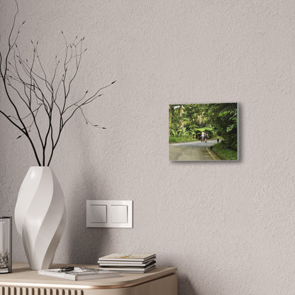 Tropical Road Walk Canvas — Couple with cat and dog in El Yunque - Scenic Nature Wall Art