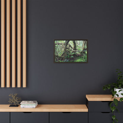 Framed Matte Canvas Wall Art — Tropical Rainforest Roots Photography - The dance of trees - a tree jumble where they hold each other - Nikon