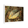 Tradewinds Trail - Fallen Colorful Leaf - Matte Canvas Print — Stretched Wall Art - El Yunque Rainforest - Puerto Rico - Deep forest explorations