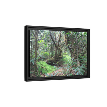 Tropical Vista Matte Canvas Framed Wall Art — Magic section of the remote Tradewinds Trail -  El Yunque rainforest PR