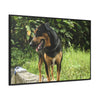 Rainforest Trails & Views - Gallery Canvas Wraps, Horizontal Frame - El Yunque National Forest - Puerto Rico - Rio Sabana Cubuy River - Firo the dog explorer - Green Forest Home