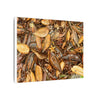 Leaf Floor Canvas Print — Matte Stretched Wall Art - Tradewinds trail - below canopy of local peak - leaf variety & geometry & stars ...