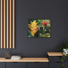 Tropical Vista Matte Canvas Framed Wall Art - Forest explorations - Deep in El Yunque rainforest PR - Mosaic#1 of the Flowers of El Yunque rainforest