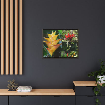 Tropical Vista Matte Canvas Framed Wall Art - Forest explorations - Deep in El Yunque rainforest PR - Mosaic#1 of the Flowers of El Yunque rainforest