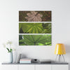 Yagrumo Tree Leaves Art- El Yunque - Nikon D850 - Triptych Acrylic Print – Forest Wall Art