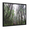 Tropical Vista Matte Canvas Framed Wall Art - Forest explorations - My son Jose is tired on El Yunque High-Forest (in the clouds) trail -  El Yunque rainforest PR