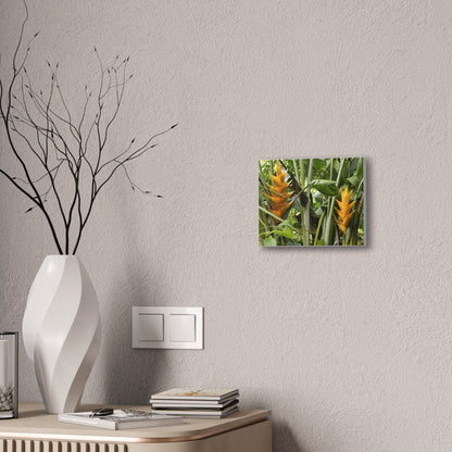 Tropical Heliconia Canvas Print — El Yunque rainforest - Vibrant Jungle Wall Art
